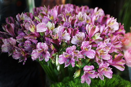 Bouquet of Peruvian Lily