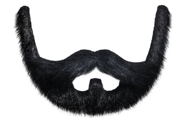 barbe noire avec la moustache bouclée d’isolement sur le blanc - fake mustache photos et images de collection
