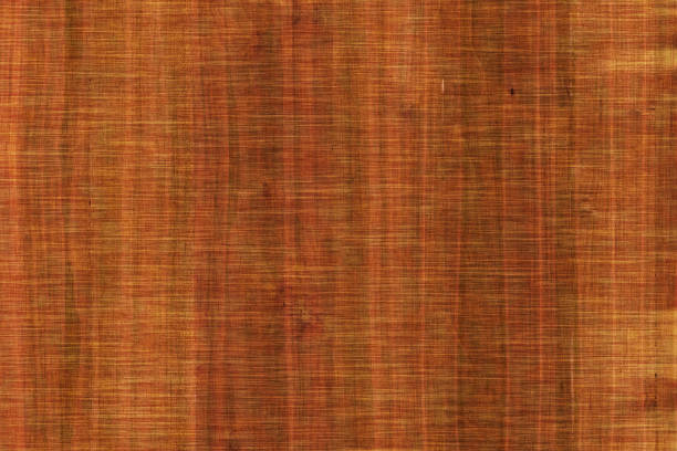 istock grunge acacia timber tree wooden surface wallpaper structure texture background 1147350449