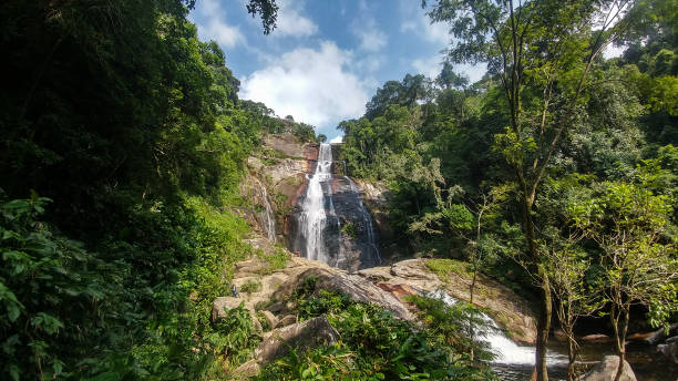 istock Waterfall in the middle of the forest 1147356009