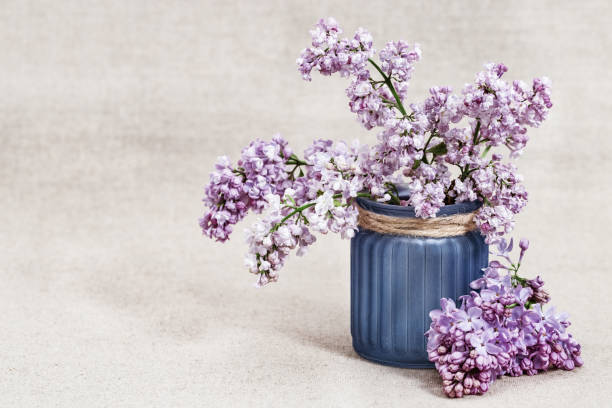 istock Spring flowers of lilac in vase on rustic tablecloth with copy space. Lilac closeup. Selective focus. 1147356797