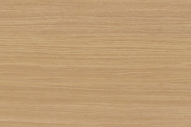 istock yellow color tree timber wood surface texture background wallpaper 1147357082