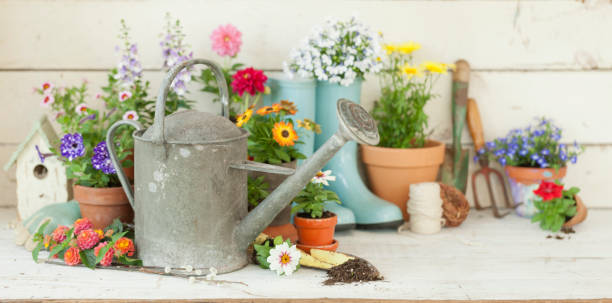 фон садовых инструментов - watering can trowel dirt shovel стоковые фото и изображения