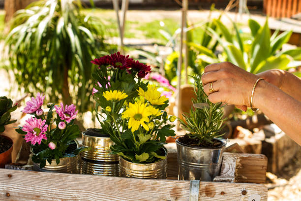 istock A woman working in the garden with plants 1147359792