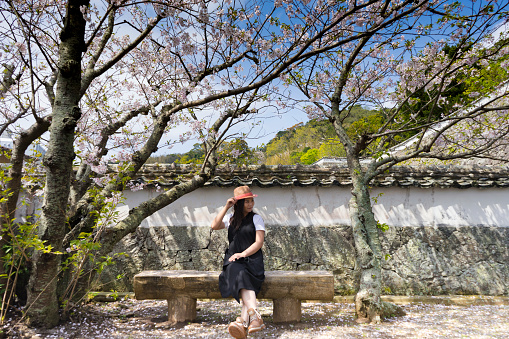 Asian girl sitting under a cherry blossoms tree in Japanese Graden
