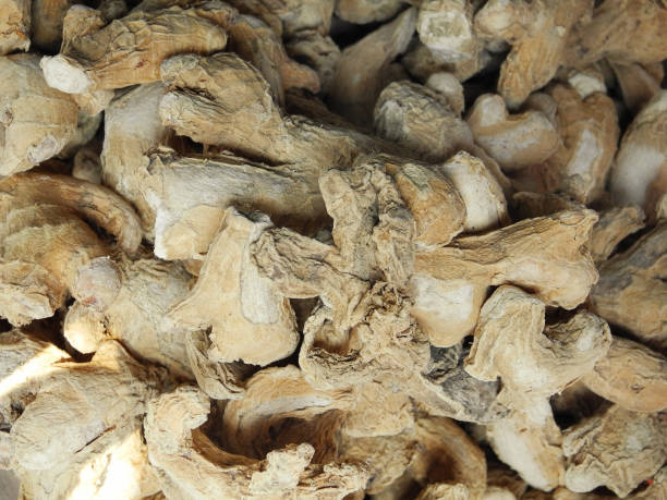 istock Dry ginger (Zingiber officinale) in South India, Kochi, Kerala 1147361104
