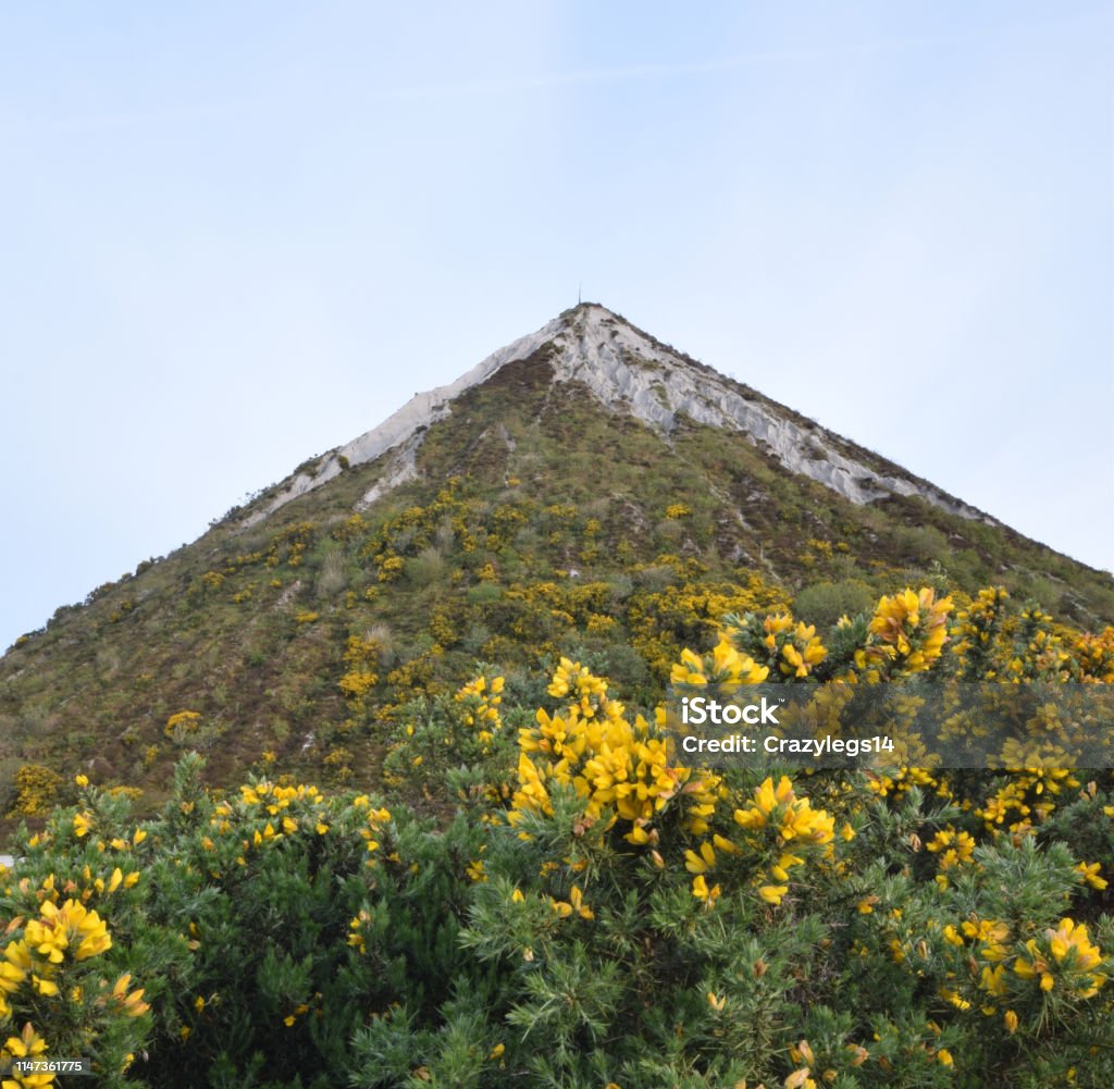 Poço da argila de China em St Austell com Gorse - Foto de stock de St Austell royalty-free