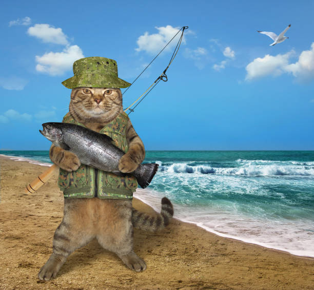 istock Cat fisher on the shore 1147363261