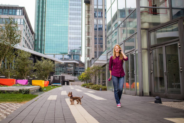 istock Woman using phone while walking with dog in the city 1147369618
