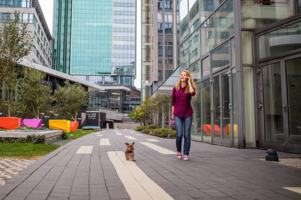 istock Woman using phone while walking with dog in the city 1147369620