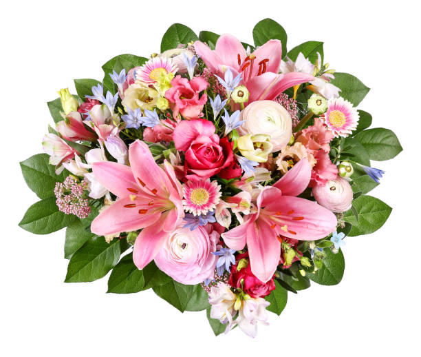 Bunch of flowers with ranunculus and lilies Colorful bouquet in pink colors with roses, ranunculus, lilies, gerberas and many others. campanula nobody green the natural world stock pictures, royalty-free photos & images