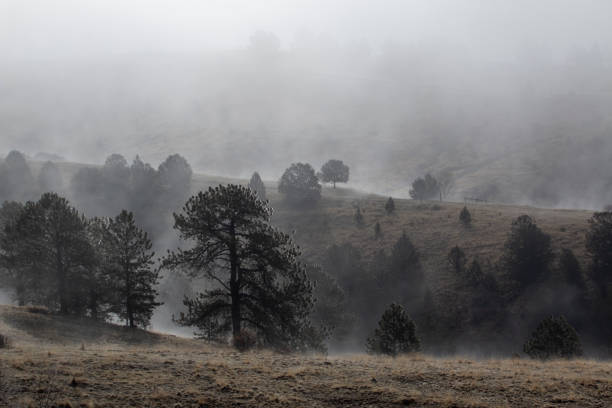 istock Ghostly Figures in Foggy Mine Country 1147373845