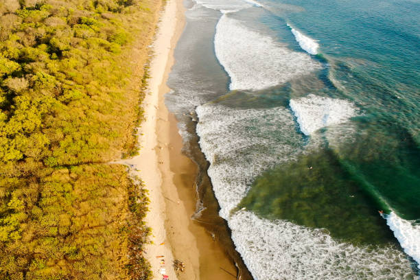 praia tropical - tamarindo - fotografias e filmes do acervo