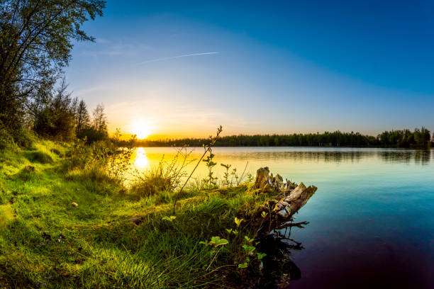 istock Beautiful sunset on a natural lake 1147378634
