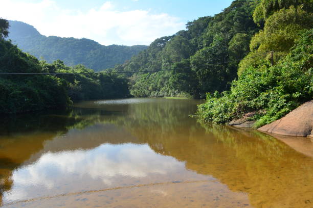 istock Prumirim beach in sunny day, Ubatuba SP 1147380217