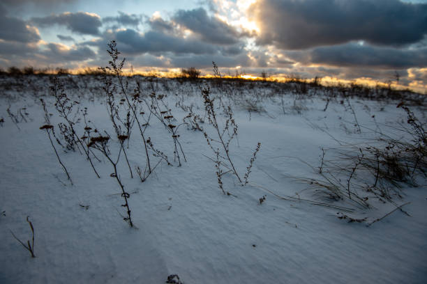 istock frozen snow covered beach by the sea 1147381388