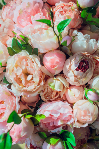 istock Roses in the box on wooden background 1147381598