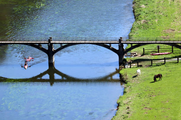 Tourists in the Ardennes pass under a bridge in kayaks and watch the horses in the pasture