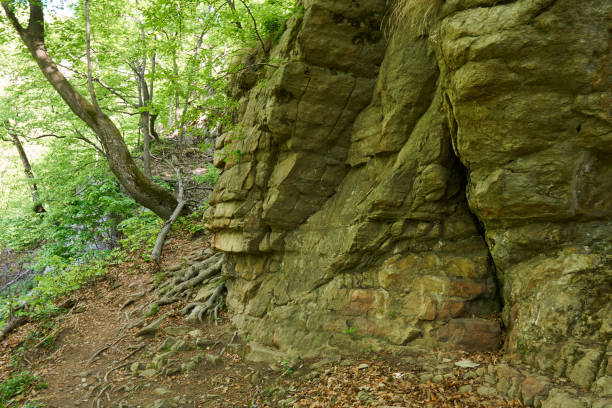 istock Hiking trail in the mountain forest 1147384403