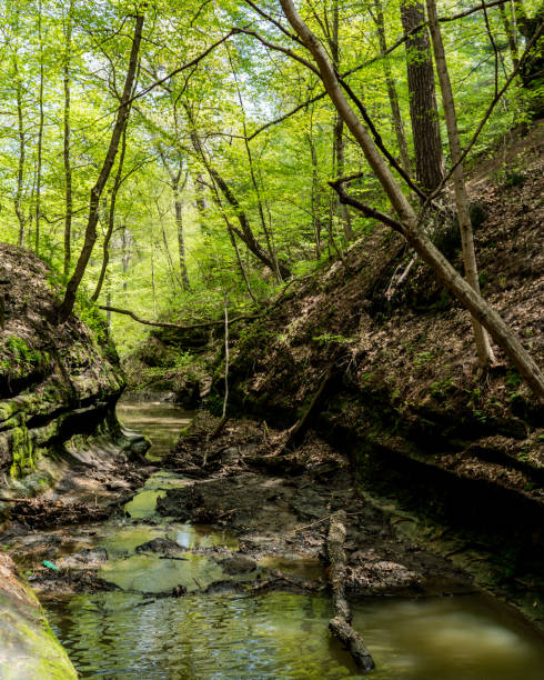 istock Starved Rock Waterfall in Illinois 1147386037