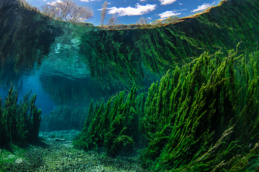 An Underwater Panorama from Gurpinar Lake in Sivas in Turkey