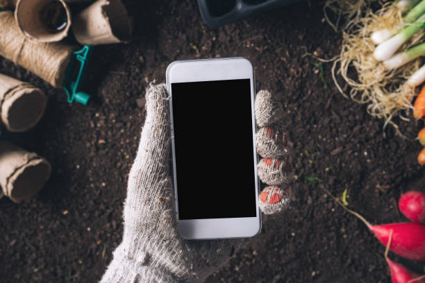 istock Smartphone mock up for organic homegrown produce cultivation 1147390615
