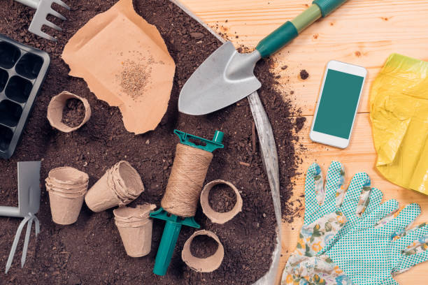 istock Smartphone screen mock up for gardening and seeding app 1147392088