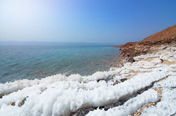 desert landscape of dead sea coastline with white salt, jordan, israel - travel jordan israel sand imagens e fotografias de stock