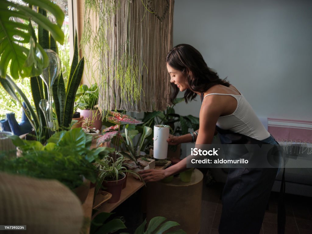 Tienda femenina cuidando las plantas en una tienda de jardín - Foto de stock de Planta de interior libre de derechos
