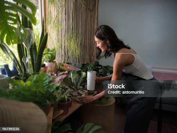 Tienda Femenina Cuidando Las Plantas En Una Tienda De Jardín Foto de stock y más banco de imágenes de Planta de interior