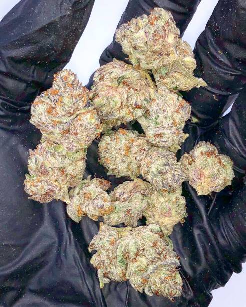 Top shelf and exotic cannabis
