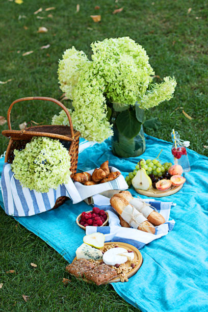 istock Summer picnic on the blue plaid  in the park 1147396111