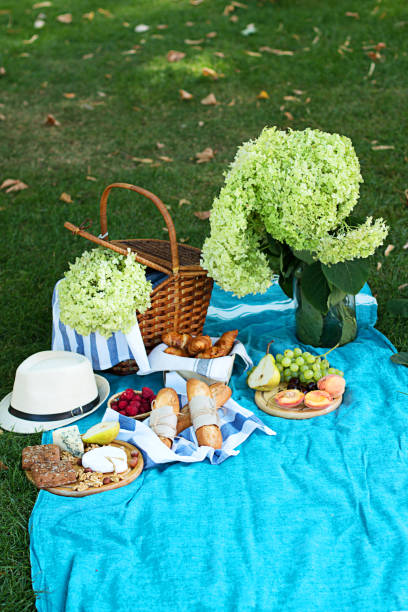 istock Summer picnic on the blue plaid  in the park 1147396159
