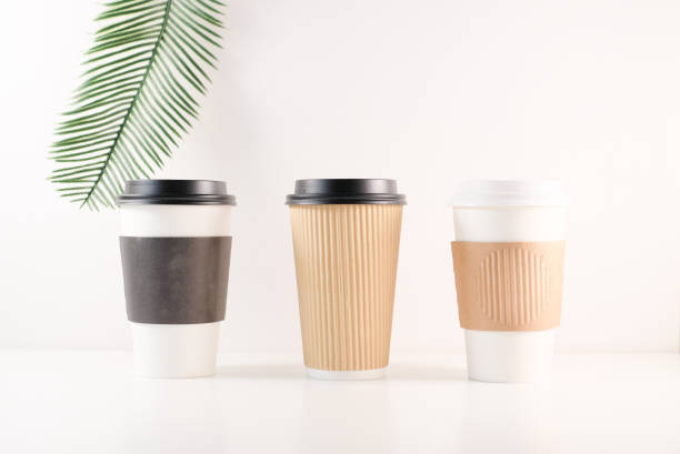 istock biodegradable box package to go food snack coffee container for take away eco friendly. 1147397111