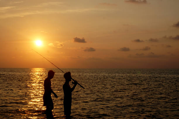 istock silhouette big crowd people having fun at the sunset 1147399108