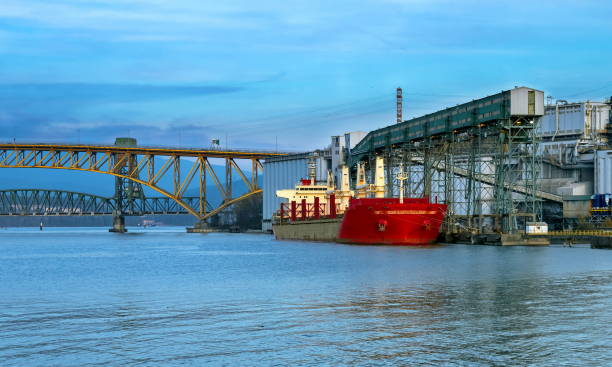 istock Ship under loading in sea port of   Vancouver 1147411528
