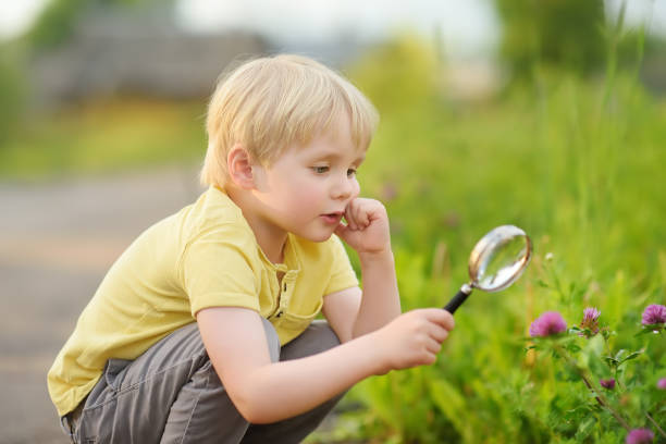 istock Kid exploring nature with magnifying glass. Close up. 1147416257