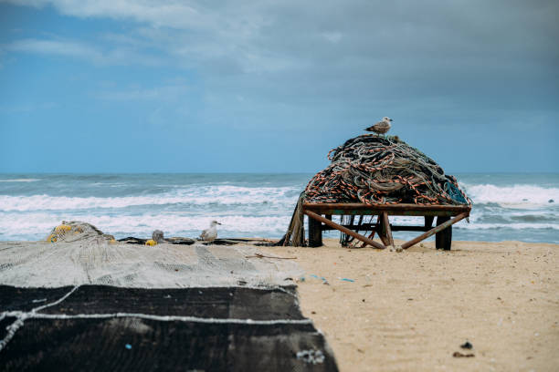 beach with fishing net in espinho near porto, portugal - enviromentalism imagens e fotografias de stock