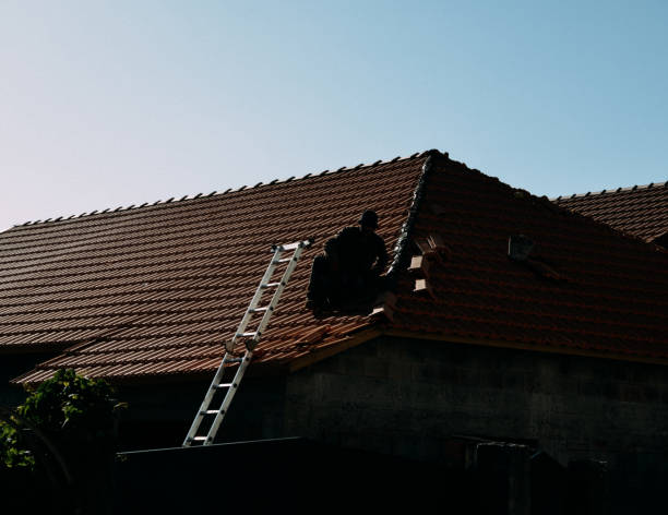 silueta de un hombre no identificable en un tejado junto a una escalera con espacio de copia - chimney sweeping fotografías e imágenes de stock