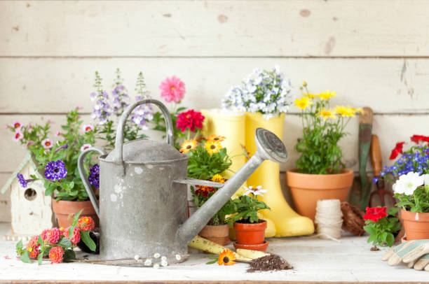 istock Garden Tools and Flowers Background 1147424540