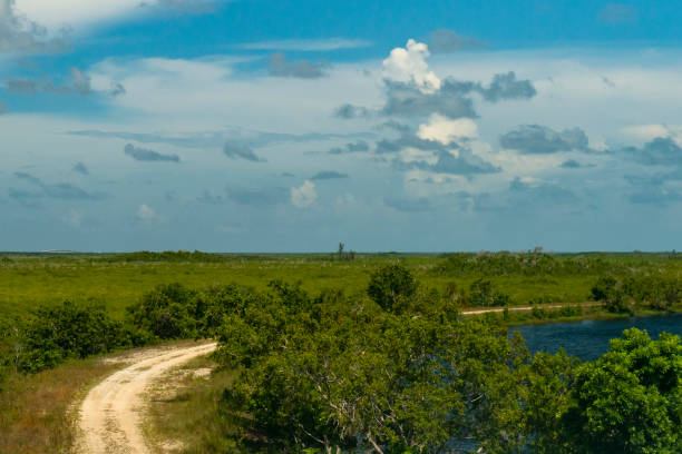 istock Florida Keys - USA 1147424707