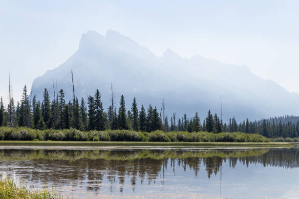 istock forest and mountains in smoke. 1147426779