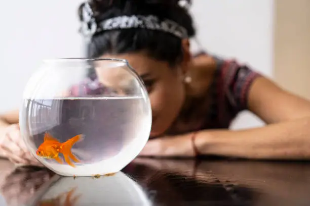 Photo of Woman looking at fishbowl with gold fish