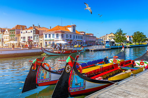 Aveiro, Portugal - June 16, 2018: Traditional boats on the canal in Aveiro, Portugal. Colorful Moliceiro boat rides in Aveiro are popular with tourists to enjoy views of the charming canals. Aveiro, Portugal.