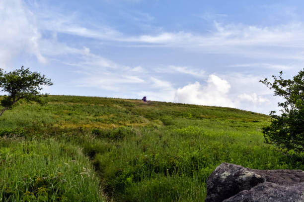 istock Hiking in the Roan Highlands, NC 1147435739