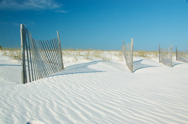 Sand dunes in Alabama stock photo