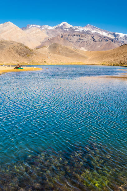 Andes mountains in the extreme south of the planet rising almost 7,000 masl with Aconcagua mount. It is amazing to enjoy it valleys, it wilderness, it loneliness and its amazing landscapes that impress your senses with the power of nature. Chile. la laguna de los patos en la cordillera central de los andes una increíble representación del típico paisaje andino en chile. increíbles vistas a la montaña más alta del sur de los 6, 000m cerro marmolejo. un impresionante paisaje accidentado y color