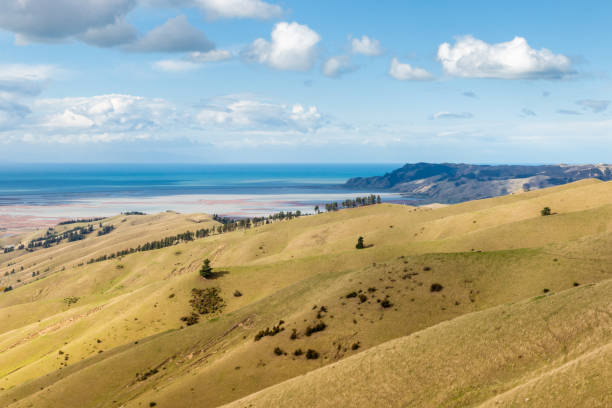 wither hills mit wairau lagunen und cook strait in neuseeland - blenheim stock-fotos und bilder