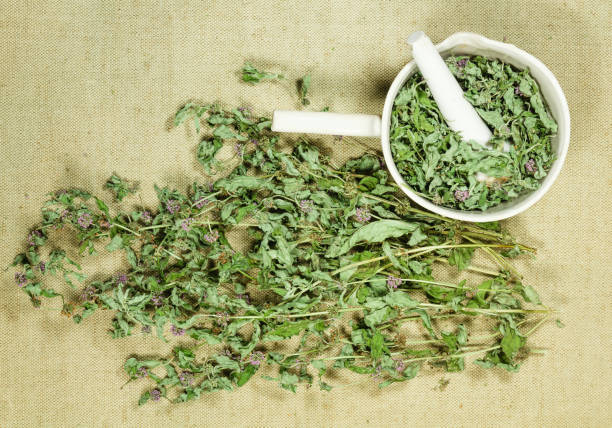 istock Mint, spearmint. Dry herb for use in alternative medicine, phytotherapy. 1147448258