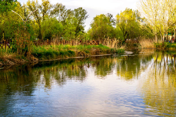 istock lake in botanic garden 1147457377